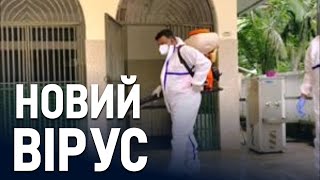 Смертельно небезпечний вірус Ніпа поширюється в Індії