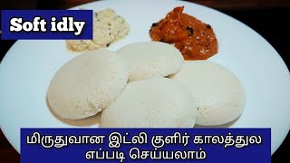 இட்லி குளிர் காலத்துல எப்படி புளிக்க வைக்கலாம் | மிருதுவான இட்லியின் ரகசியம் | tips and tricks