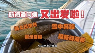 航海老阿姨公开自己的“备胎”…没想到你竟是这样的女人…【航海的Sudy】