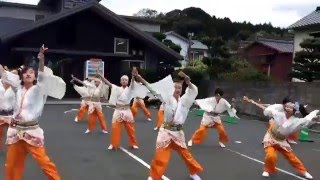 阿武よさこい連 川棚温泉 舞龍祭