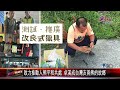 20240430台灣黑熊數量最多鄉鎮 卓溪鄉保育成果豐碩｜@fgsbltv