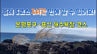 올레길 3코스 미리 보고가세요~ / 온평포구부터 표선해수욕장까지!