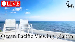 【LIVECAM】今晩🌕満月💺🎄海辺のプチイルミネーション　サイレントモード　🌌カラーナイトビジョン　海と空しか見えない崖の上から　SEA\u0026SKY　 2022/1/18/2