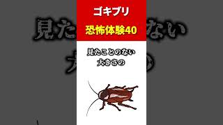 【ホラー】 ゴキブリ 恐怖体験40#shorts #虫雑学 #害虫 #ゴキブリ