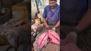 KASIMEDU🔥MR.SELVAM HUGE BIG FIN TUNA FISH CUTTING🐠🔪 #shortsfeed #shorts #kasimedu #fishcutting