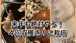 【活かす暮らし】きのこ栽培最終章　４回目の収穫で大満足！　菌床は肥料として再利用