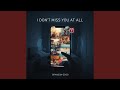 I Don't Miss You At All