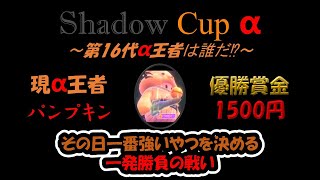 22時から第16代Shadow Cup α！　それまでは参加型やります～　【FallGuys/フォールガイズ/参加型】