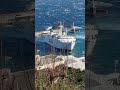 traghetto caremar a capri alle prese con il forte vento