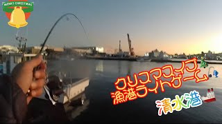 【ライトゲーム】クリスマスフィッシュを求めて、久しぶりのポイントで漁港ライトゲーム🎣清水港🚢