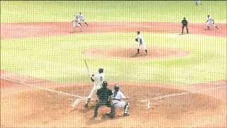 東北福祉大が3季ぶり優勝　仙台六大学野球秋季リーグ戦　最終節で仙台大破る