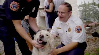 ADT Rescues Dog Which Started House Fire