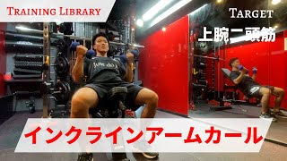 【上腕二頭筋トレ】インクラインアームカール【Training Library】