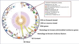 Comprehensive Genome Analysis Service