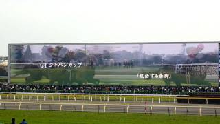 【HD】衝撃の記憶（ディープインパクト：東京競馬場ターフビジョン）