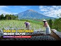 PUNCAK TERTINGGI NEGERI SAYUR !! Pemandangan Alam Desa Sukomakmur - Cerita Desa Kajoran, Magelang