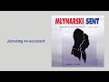 wojciech młynarski jesteśmy na wczasach official audio