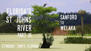 Florida's St. Johns River III – Sanford to Welaka: A Take 5 For Florida History 25