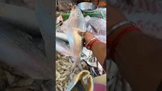 আজ রোববার🤓তাই!বাজার থেকে বড় ইলিশ🐟নিয়ে এলাম সাথে বাড়ির গাছের লাউ❤️ছিলো দেখো সবাই #food #shorts