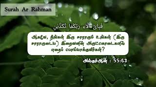 surah Rahman beautiful relaxing Quran recitation/சூரா அர் ரஹ்மான் அழகான நிதானமான குர்ஆன் ஓதுதல்