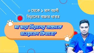 Orphan kitten care। How to feed kitty।মা ছাড়া বিড়ালের যত্ন ও খাওয়াবেন কিভাবে#kitten health care#cat