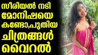 സീരിയൽ നടി മോനിഷയെ കണ്ടോ,പുതിയ ചിത്രങ്ങൾ വൈറൽ