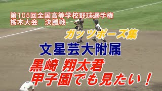 第105回高校野球栃木大会 黒崎翔太君(文星芸大附属 )決勝戦 ガッツポーズ集 作新学院×文星芸大附属