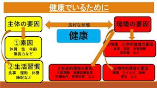 中学１年保健体育　健康の成り立ち