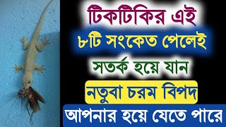 টিকটিকির এই ৮টি সংকেত পেলেই সতর্ক হয়ে যান নতুবা চরম বিপদ হয়ে যেতে পারে | Tiktikir sanket