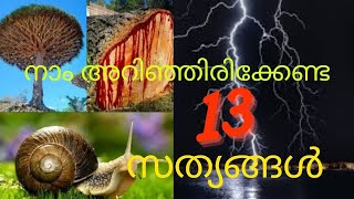 നിങ്ങളെ അതിശയിപ്പിക്കുന്ന 13  സത്യങ്ങൾ || Unbelievable Facts in Malayalam