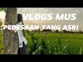 Vlogs alam Dan music