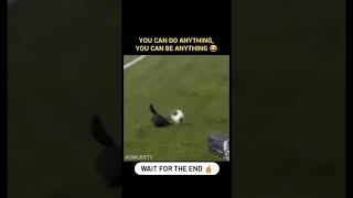 owl kitty soccer whatsapp status. #owlkitty