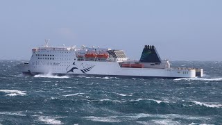 Adventurous Voyage Across Cook Strait: Interislander Ferry from Wellington to Picton in Rough Seas