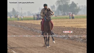 [Live] Barwali Khurd (Fatehgarh Sahib) Horse Race 14 May 2022