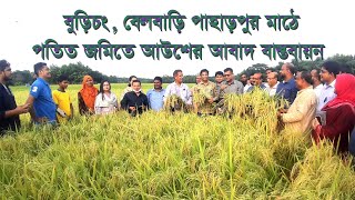 কুমিল্লা, বুড়িচং, বেলবাড়ি পাহাড়পুর মাঠে পতিত জমিতে আউশ ধানের আবাদ বাস্তবায়ন।