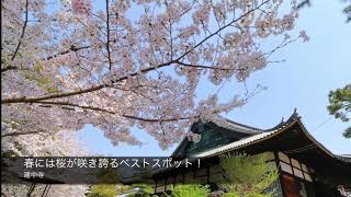 【名古屋市公式】＃お写んぽMOVIE（建中寺）