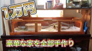 【1万円】で1階建のケージを【5日かけて】全部DIYで作ってあげた時のペットの行動が可愛いかった！