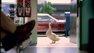 Aflac - yogi at the barber (2002)