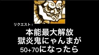 【リクエスト】本能最大解放にゃんまが50+70になったら