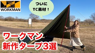 【ワークマン】TCタープ初登場！2023年新作タープ3種類紹介★ワークマンキャンプギア