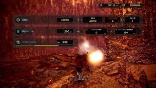 MHW:I ver13.50 MRマム・タロト ライトボウガン ソロ 12'29