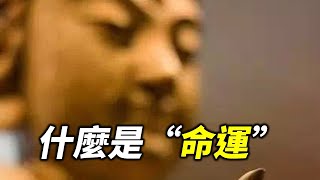 再忙也花五分鐘看看！什麼是“命運”？ 心存善念，廣集善緣的人，天必佑之！ | 今日佛學