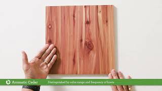 CFP’s Wood Species 101 | Aromatic Cedar