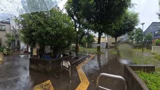 2024年6月18日 10時46分   雨の「本六公園」