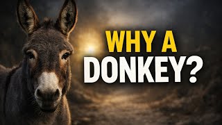 The Talking Donkey Story That Many People Miss