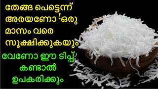 തേങ്ങ പെട്ടെന്ന് അരയണോ !ഒരു മാസം വരെ സൂക്ഷിക്കുകയും വേണോ ഈ ടിപ്പ് കണ്ടാൽ ഉപകരിക്കും | Useful Tips