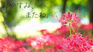 【初音ミク】おやすみ、またね。【オリジナル】