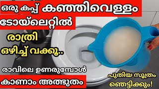 ടോയ്ലറ്റ് കഴുകാൻ മടിയാണോ?തലേദിവസത്തെ കഞ്ഞിവെള്ളം ഇതുപോലെ ചെയ്തുനോക്കൂ |Tips\u0026Tricks