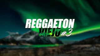 REGGAETON VIEJO MIX #3 - (Old School) Live Set Extended | DJ SantiFrancone