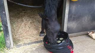 Rudy's HelixFeeder Slow Hay Feeder